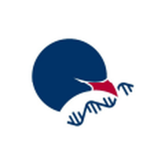 客户 LOGO